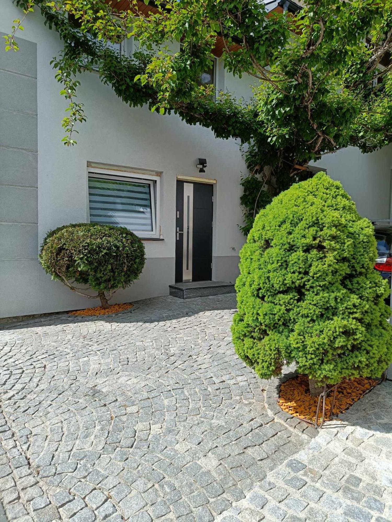 Kiwi Apartament Muszyna Exteriér fotografie